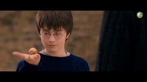 Ганя Попуоп Озвучка