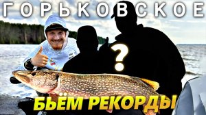 Бьём рекорды на Горсковском вдхр. Финальная рыбалка с гостями летом 2025-го