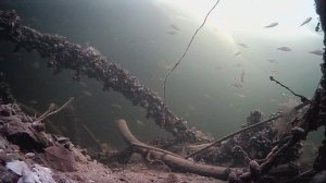 1000008153.mp4Волга гл.2м.20.01.2026г.