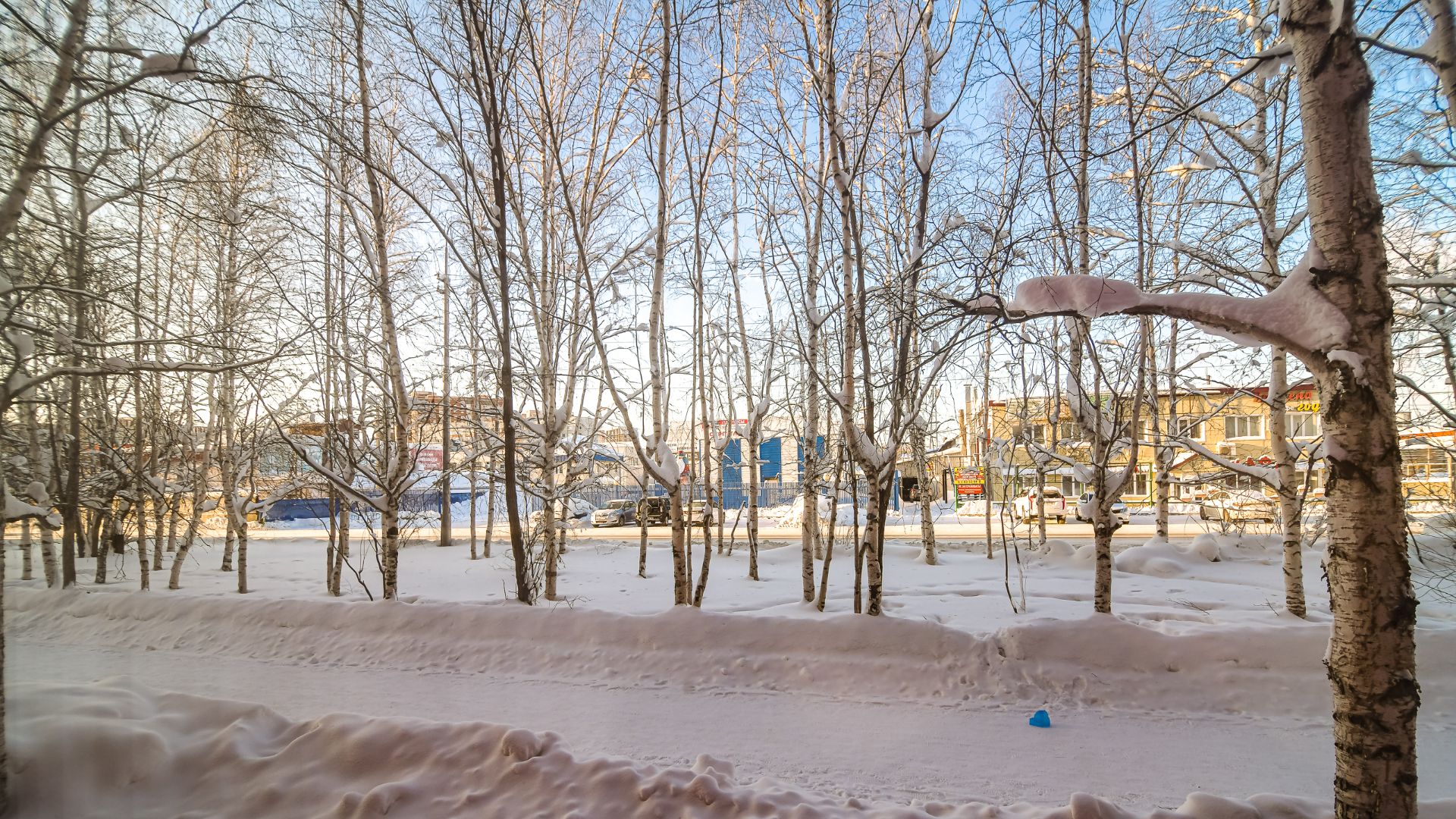 10770047 Кукуевицкого 12 смотреть онлайн