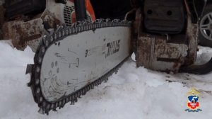 Организованная группа из 15 «черных лесорубов» отправится на скамью подсудимых в Алтайском крае