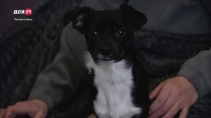 В поисках тепла