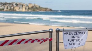 После нападения акул Австралия закрыла десятки пляжей