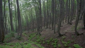 Трейлер "Неизвестная Родина"