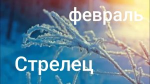 Таро расклад для Стрельцов на февраль 2026 года