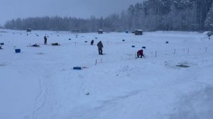 Запуск форели !!!