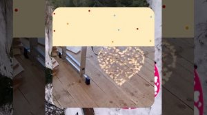 1000046616.mp4 (Собака наблюдает за устройством лестницы на 2 этаж в доме А-фрейм)