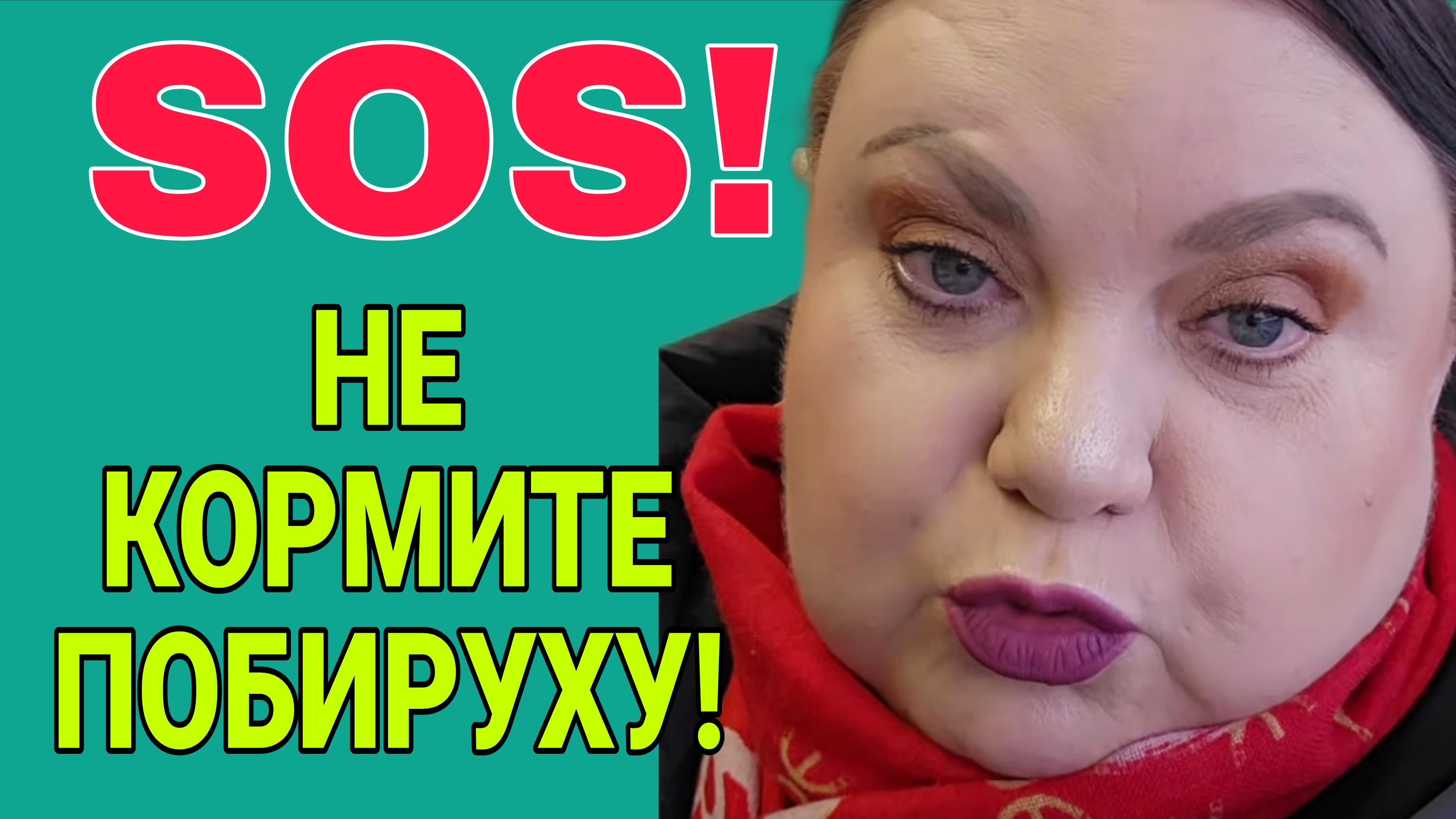 НЕ КОРМИТЕ ПОБИРУХУ! ДЕВУШКА С УРАЛА. ОБЗОР. смотреть онлайн