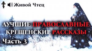 ПРИЕХАЛА ВЫГНАТЬ ОТЦА из ДОМА в Мороз... ЛУЧШИЕ ПРАВОСЛАВНЫЕ КРЕЩЕНСКИЕ РАССКАЗЫ часть 3