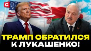Трамп обратился к Лукашенко! | Приглашение в Совет мира | Позиция Беларуси и заявление МИД