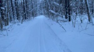 Исузу форвард первая эвакуация и перевозка вилочного погрузчика