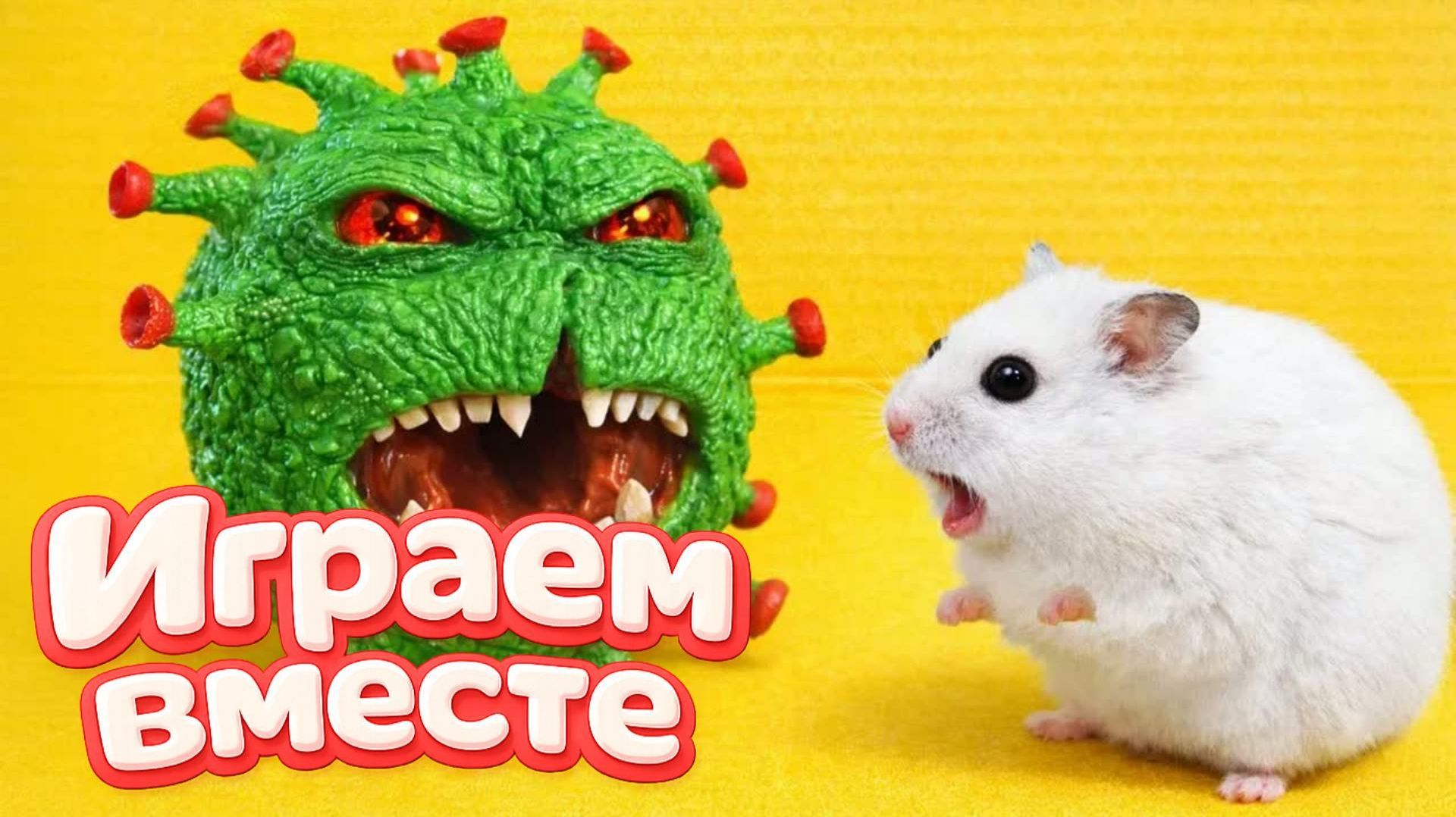 НОВЫЙ ОПАСНЫЙ ЛАБИРИНТ ДЛЯ ХРАБРОГО И УМНОГО ХОМЯКА 🐹 ВИДЕО ДЛЯ ДЕТЕЙ ! Ч.6 смотреть онлайн