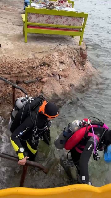 Получение сертификата дайвера смотреть онлайн