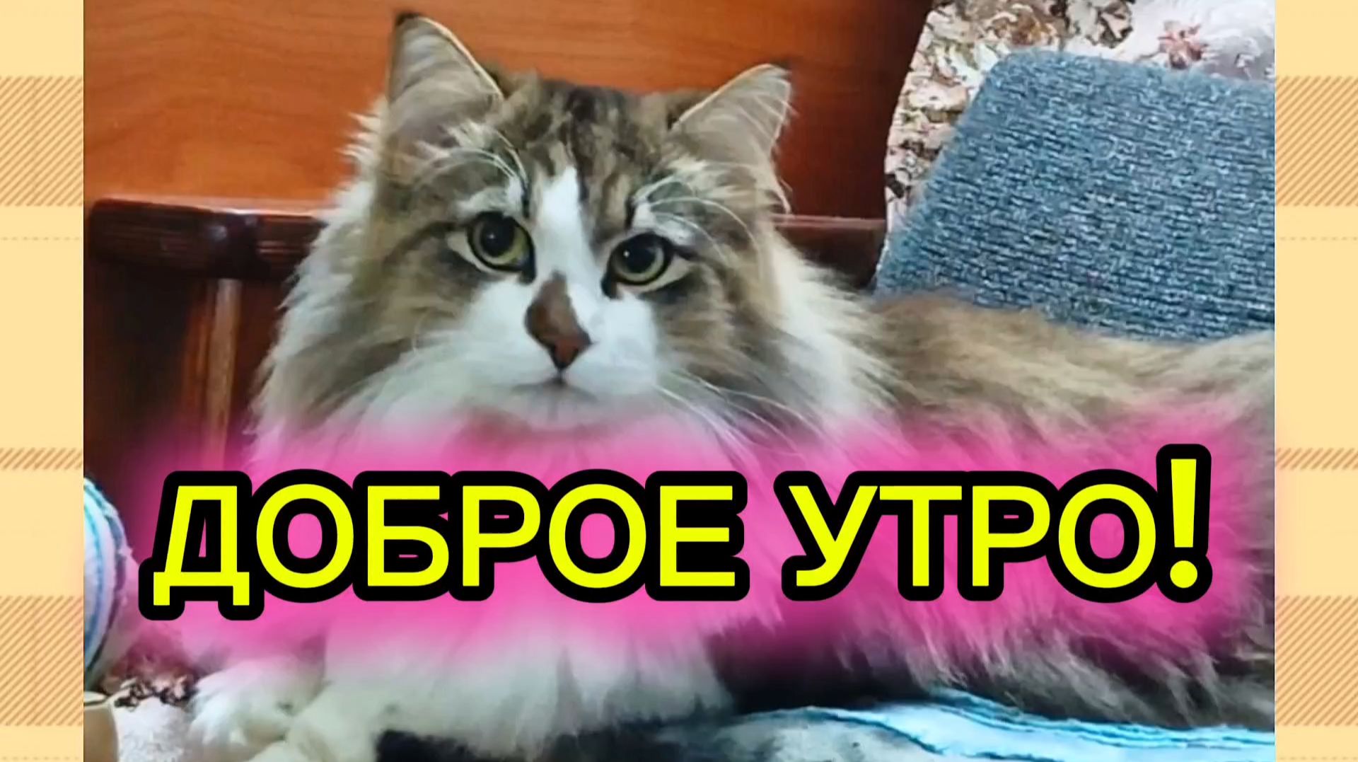 ДОБРОЕ УТРО! смотреть онлайн