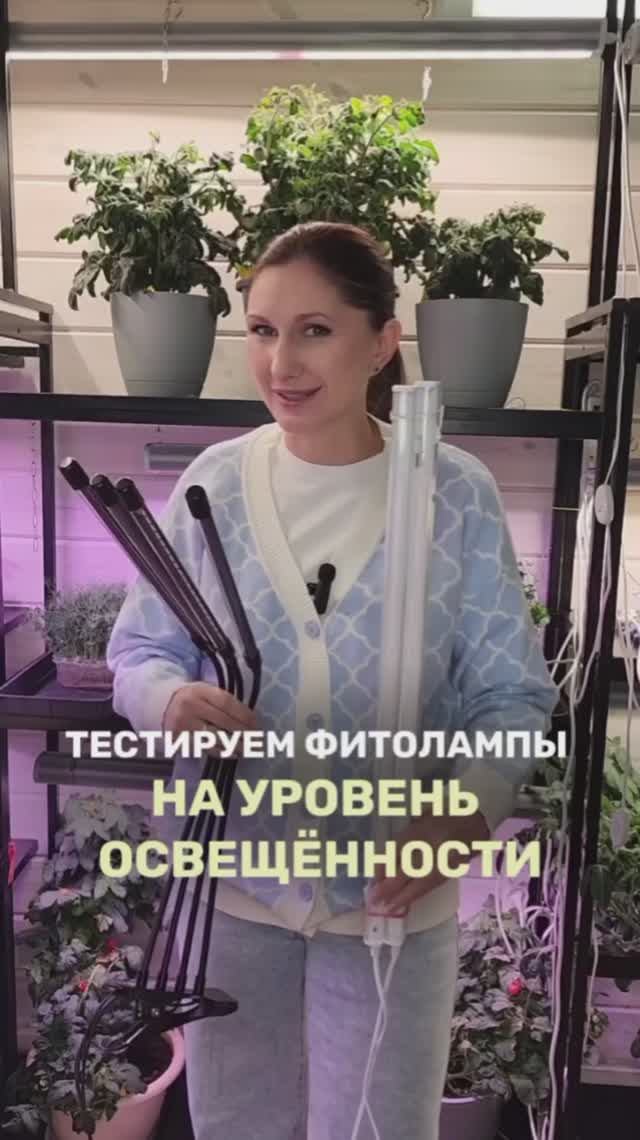 Почему важно тестировать фитолампы смотреть онлайн