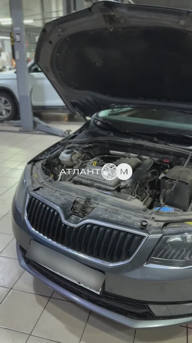 МОРОЗНОЕ УВЕДОМЛЕНИЕ 🥶 #Skoda #шкода #SkodaАвто #октавия #автосервис #сервисавтомобилей