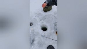 YouCut_20260120_195840589.mp4