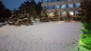 Нарядные ёлки у здания городской администрации Анапы