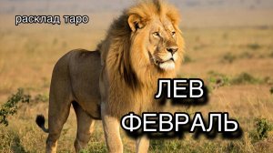 ЛЕВ таро прогноз на ФЕВРАЛЬ 2026 [расклад таро] [гадание онлайн]