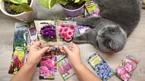 Какие цветы буду выращивать? Обзор семян, какие посеяла и что не смогла вырастить раньше