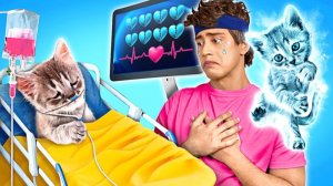 О нет! спасите котика 😿 Идеи для владельцев питомцев 🐾