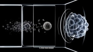 Мир на пороге вечной молодости