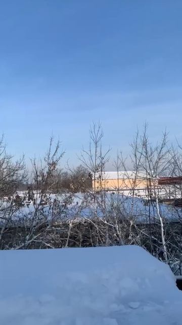 Метод "Два солдата и лопата" для расчистки теплицы #теплица #виталийморозов смотреть онлайн