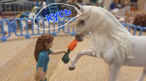 1 день на кск