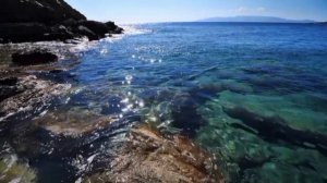 ИННА СУДАКОВА