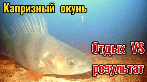Январь, глухозимье, рыба не активна. Но это не повод отменить рыбалку. Главное - хорошее настроение.