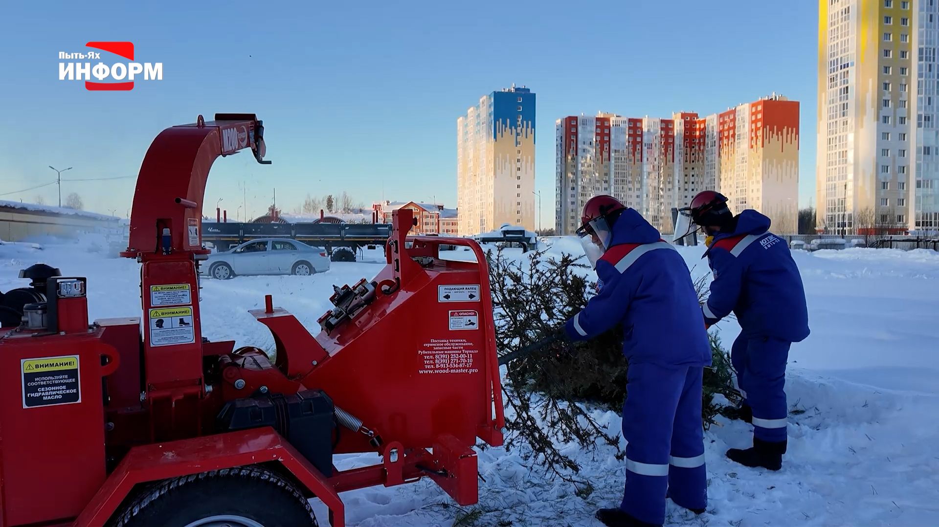 Утилизировать ёлку правильно смотреть онлайн