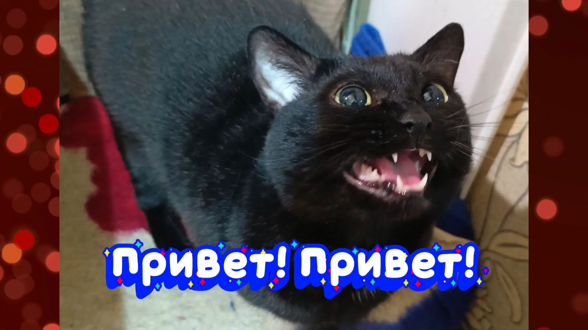 Привет! Привет! Я посылаю тебе привет! смотреть онлайн