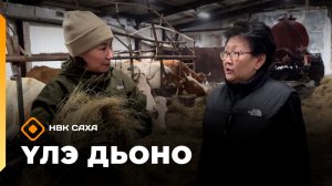«Үлэ дьоно» (20.12.25)