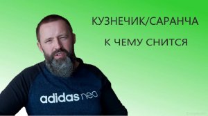 К чему снится Саранча_Кузнечик.