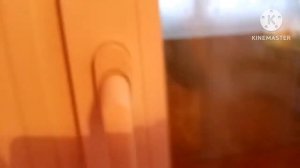 День блинов и пещера ловушка