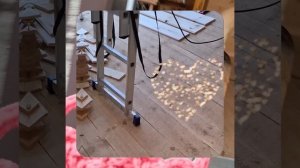 1000046615.mp4 (Собака наблюдает за устройством лестницы на 2 этаж в доме А-фрейм)