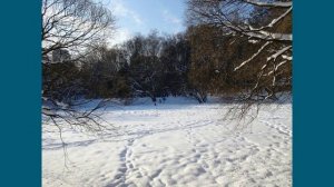 ПРУД, КАК И Я, ЖДЁТ ВЕСНЫ!