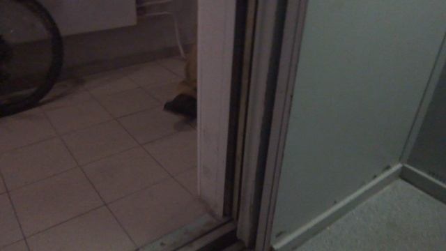 Грузопассажирский, пассажирский лифт (г. Зеленоград), V=1 м-с, г-п 400, 500 кг (152), один муз. лифт смотреть онлайн