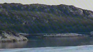 на бочках К-44 Рязань 2000 год