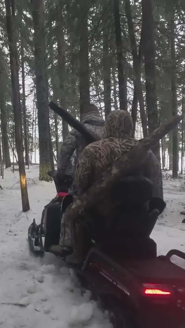 Охота на лося в тайге смотреть онлайн