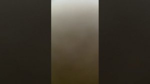 Звоним разным людям (без кепки)