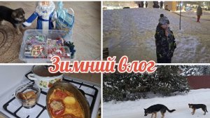 Уличные Собаки окружили /Наготовила на 2 дня / Наши уютный вечер