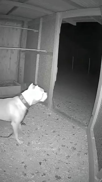 Жесть смотреть онлайн