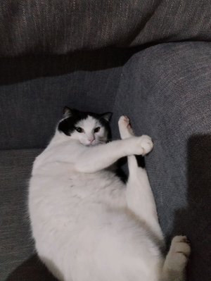 СРОЧНЫЕ НОВОСТИ 🤯🤯🤯