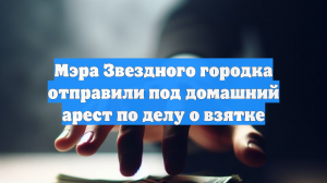 ТАСС: главу Звездного городка отправили под домашний арест