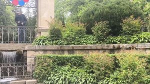 Кисловодск. Здесь и проходят гуляния и купания зимой в Крещение. Нижний парк.