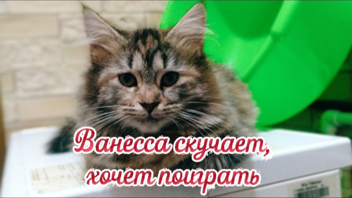 Ванесса скучает, хочет поиграть смотреть онлайн