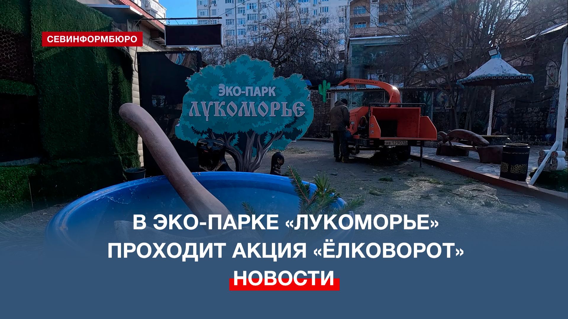 В севастопольском эко-парке «Лукоморье» проходит акция «Ёлковорот» смотреть онлайн