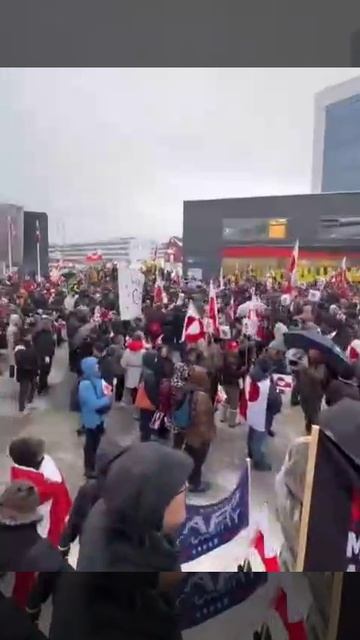 Протест в Гренландии смотреть онлайн