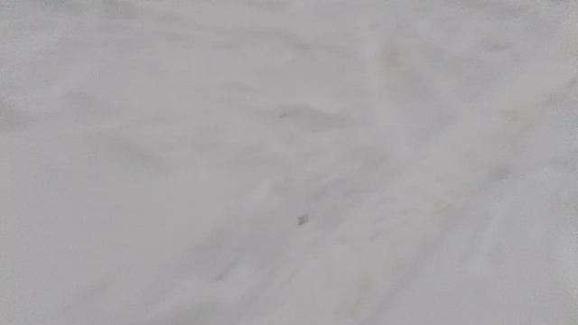 Много снега. смотреть онлайн